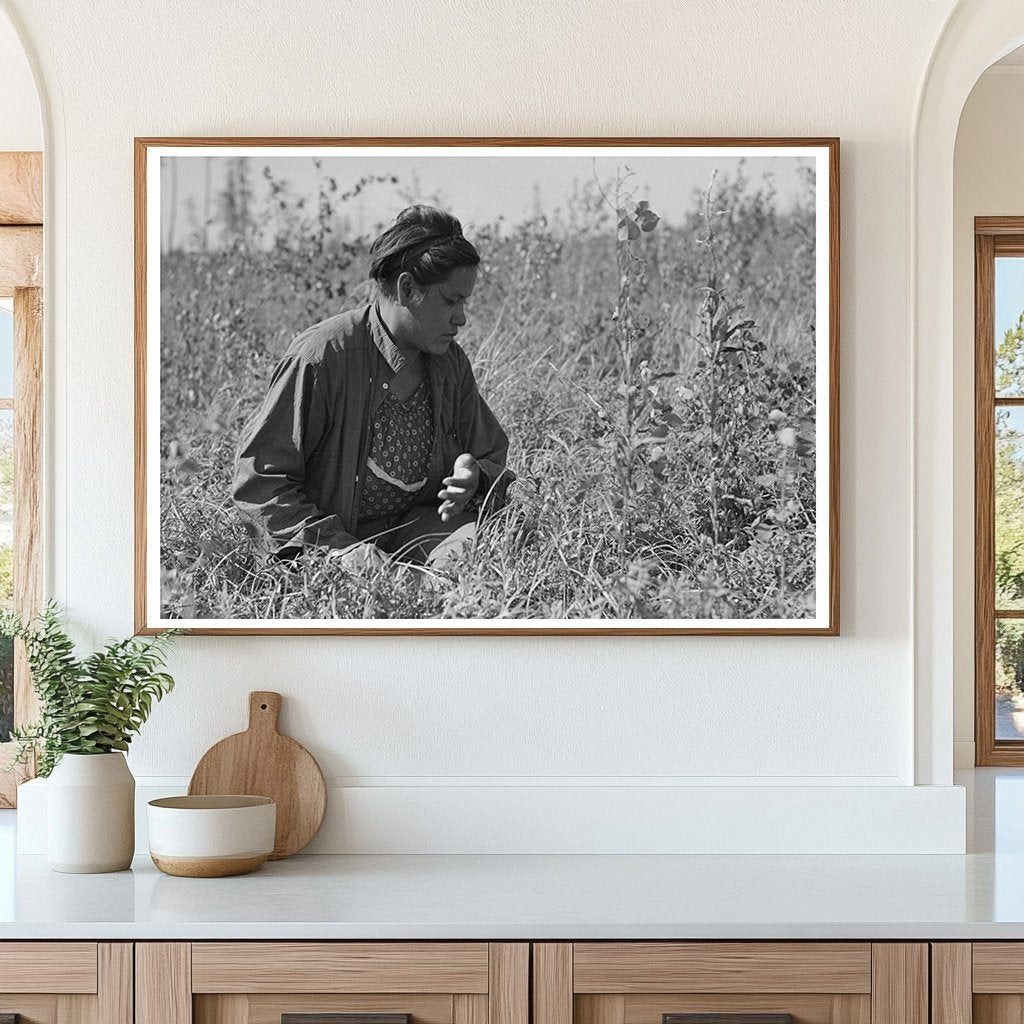 Indigenous Individual Blueberry Picking Minnesota 1937