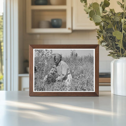 Indian Woman Picking Blueberries Little Fork Minnesota 1937