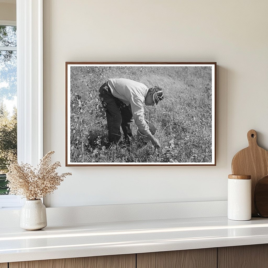 Indian Family Blueberry Picking Little Fork Minnesota 1937