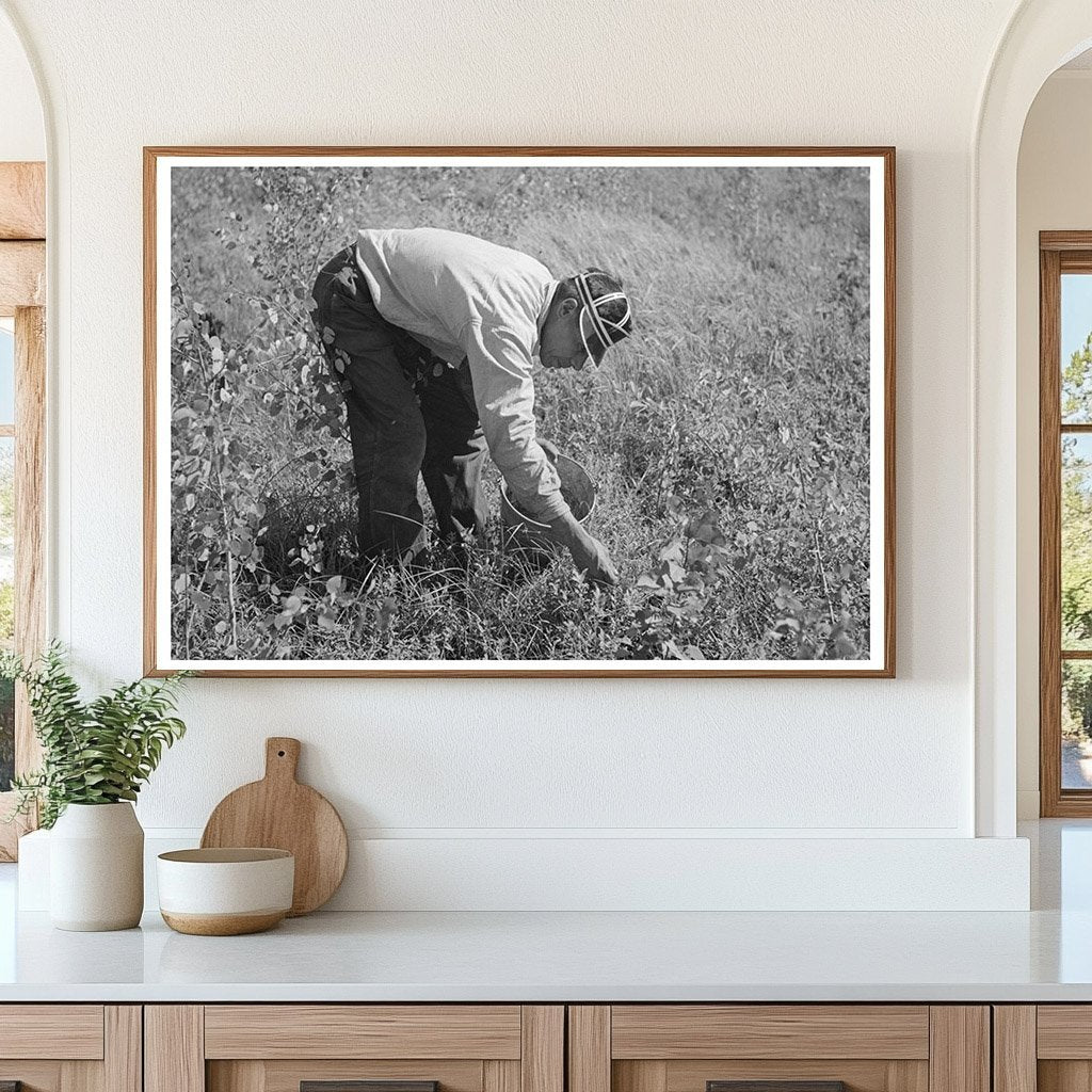 Indian Family Blueberry Picking Little Fork Minnesota 1937