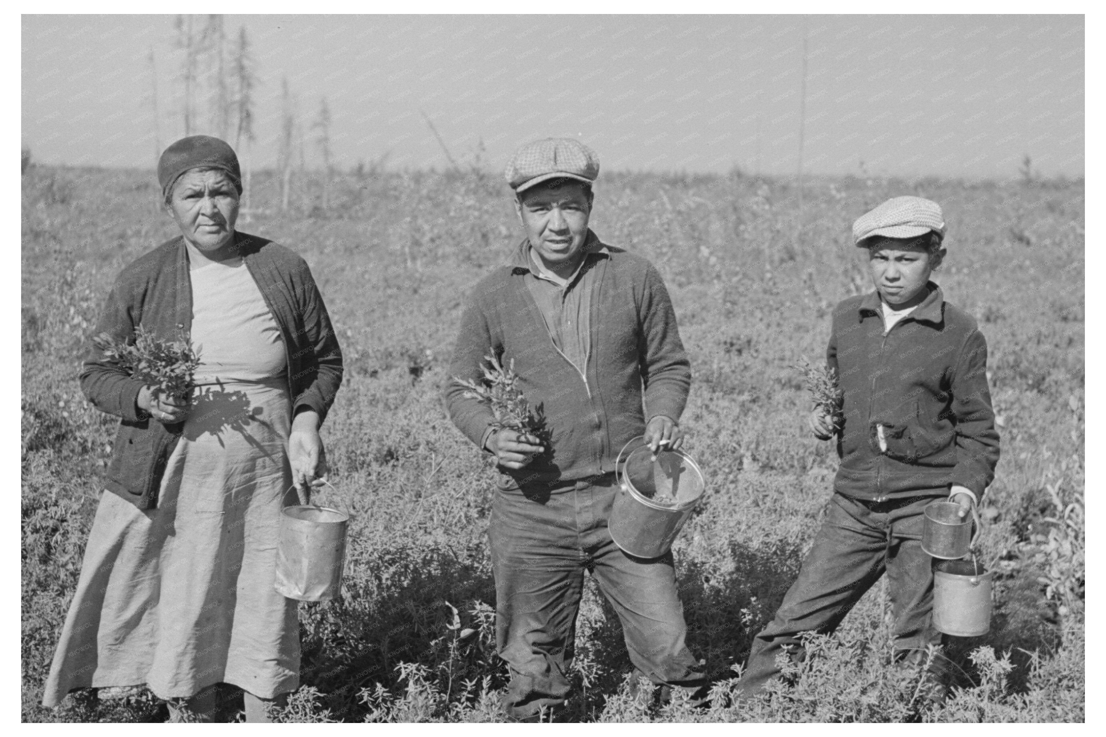 Indian Family Gathering Blueberry Branches Little Fork 1937