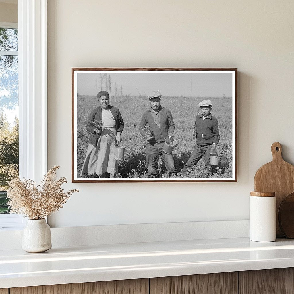 Indian Family Gathering Blueberry Branches Little Fork 1937