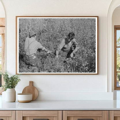 Blueberry Picking in Little Fork Minnesota 1937