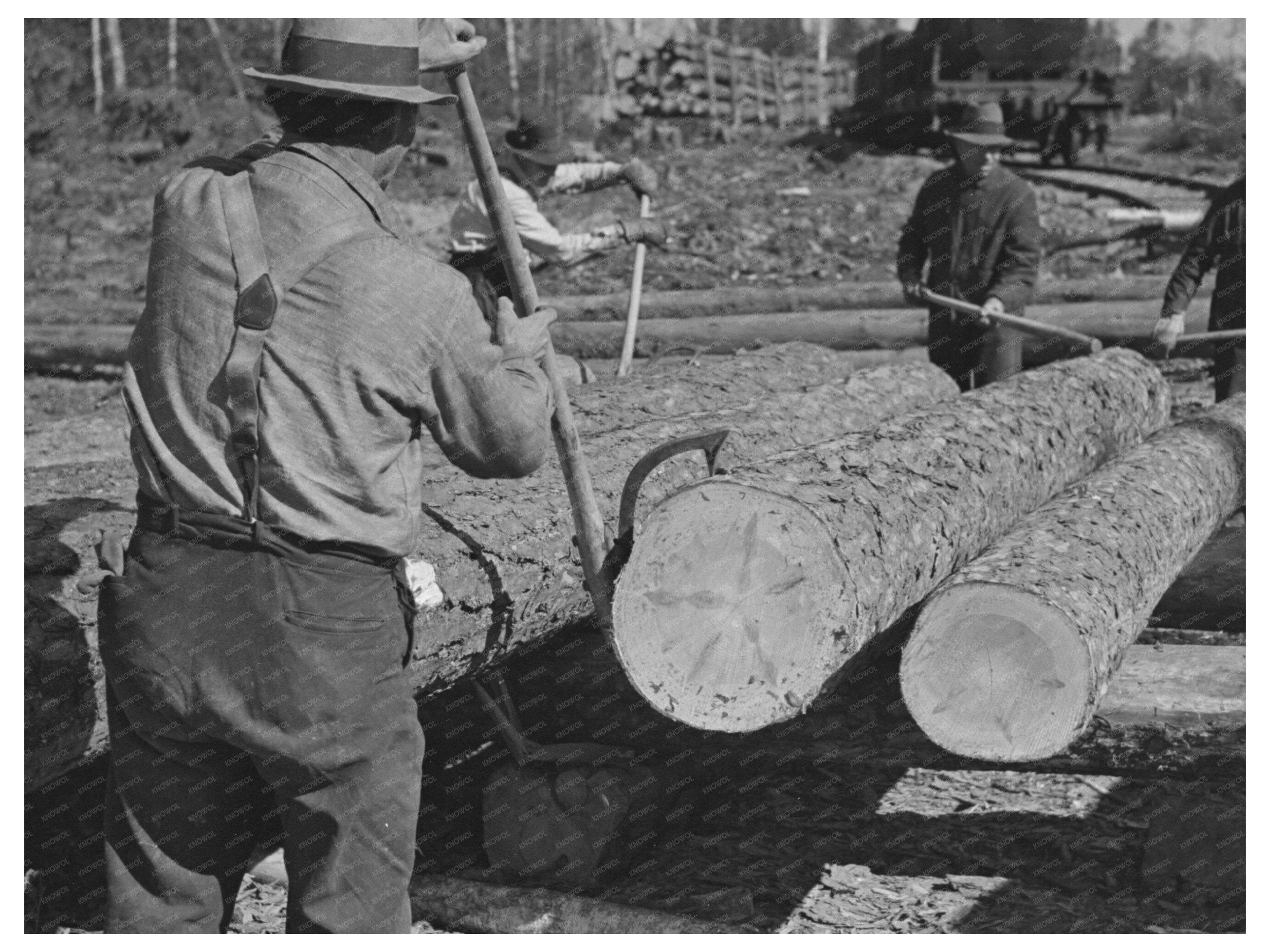 Lumberjack Using Peavy at Minnesota Logging Camp 1937