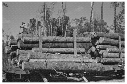 Logs on Skidway Ready for Loading Near Effie Minnesota 1937