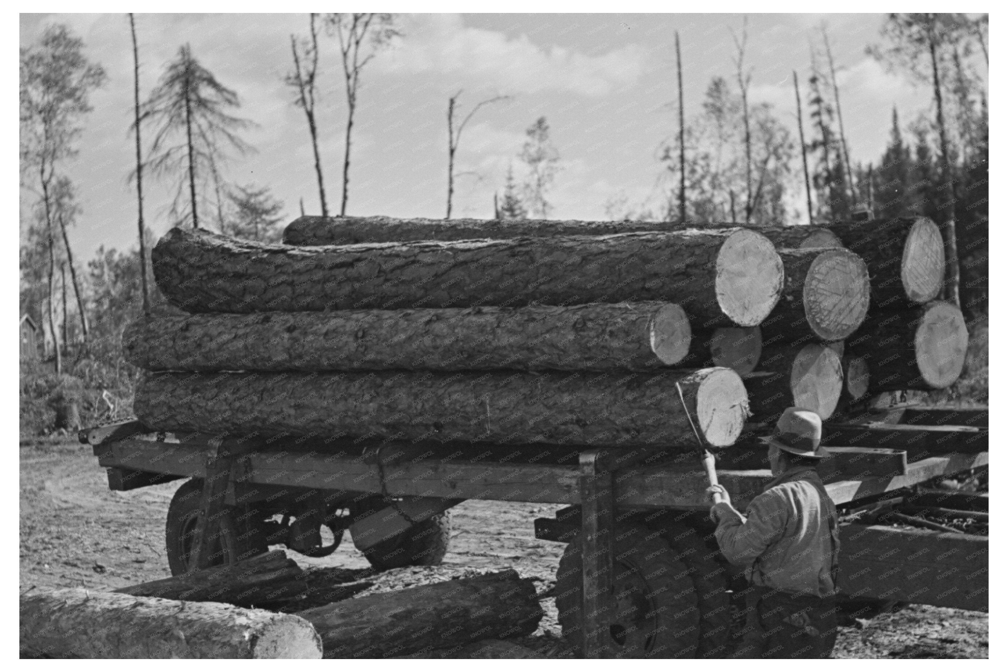 Lumberjacks Unloading Timber Effie Minnesota September 1937