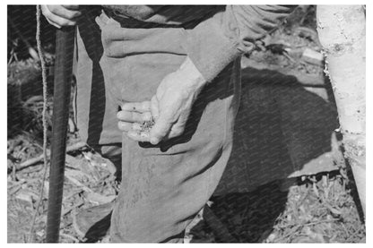 Vintage Mining Rocks from Winton Minnesota 1937