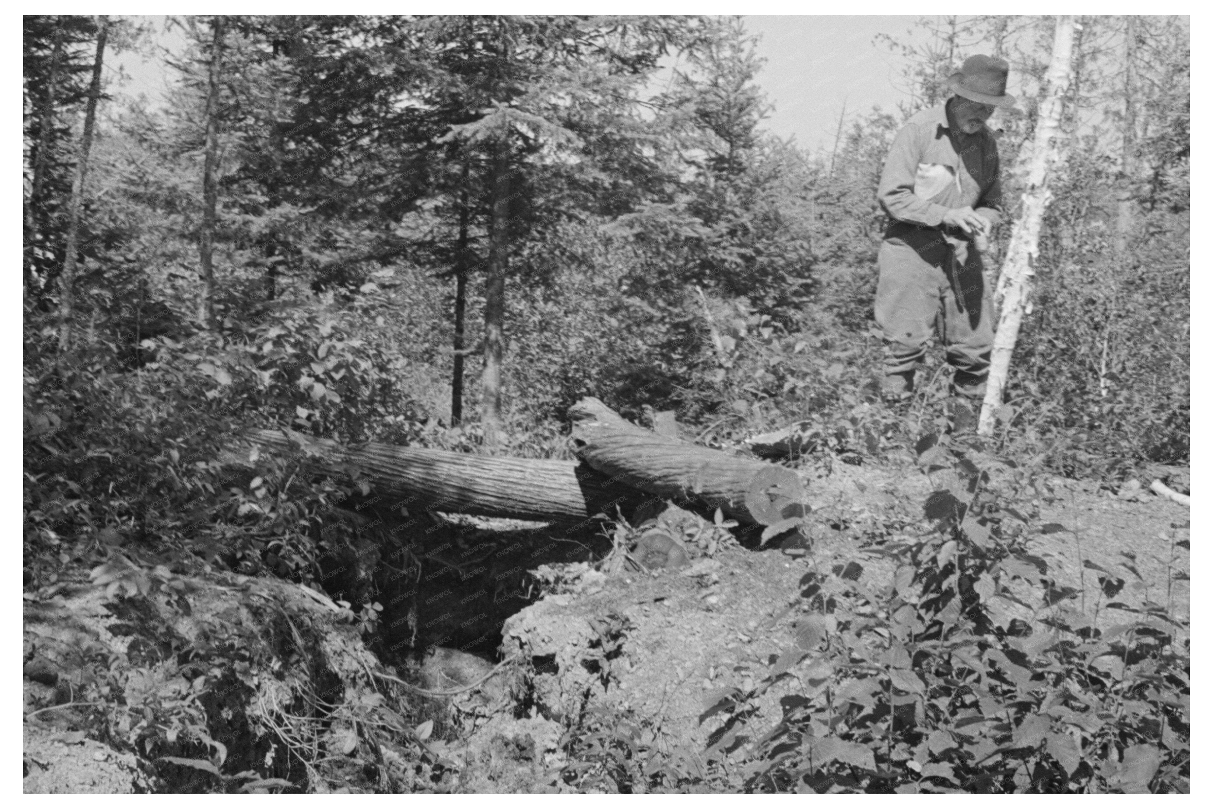 Abandoned Mine Shaft Near Winton Minnesota 1937