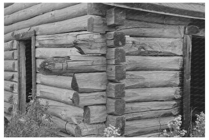 Log Cabin Detail Gheen Minnesota August 1937