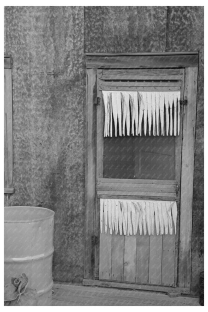 Farm Home Back Door Williams County North Dakota 1937