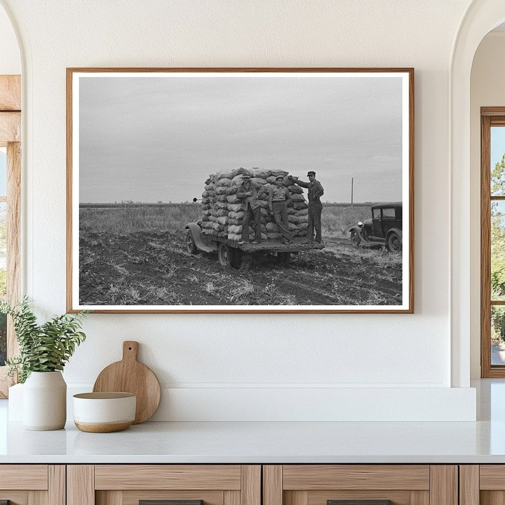 Potato Transport to Market East Grand Forks Minnesota 1937