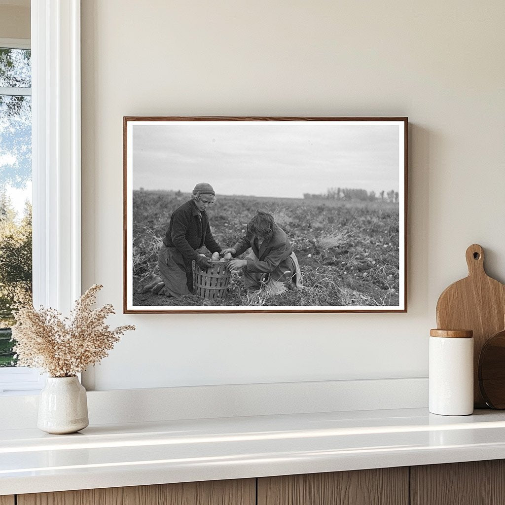 Vintage Potato Workers October 1937 East Grand Forks MN