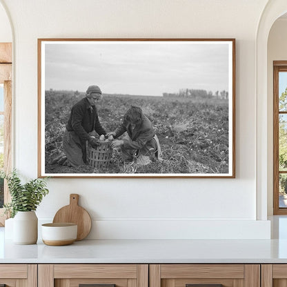 Vintage Potato Workers October 1937 East Grand Forks MN