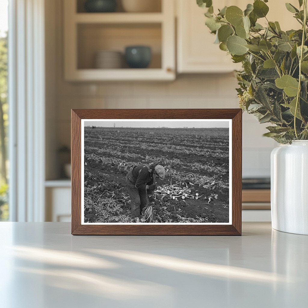 Vintage Potato Worker in East Grand Forks Minnesota 1937