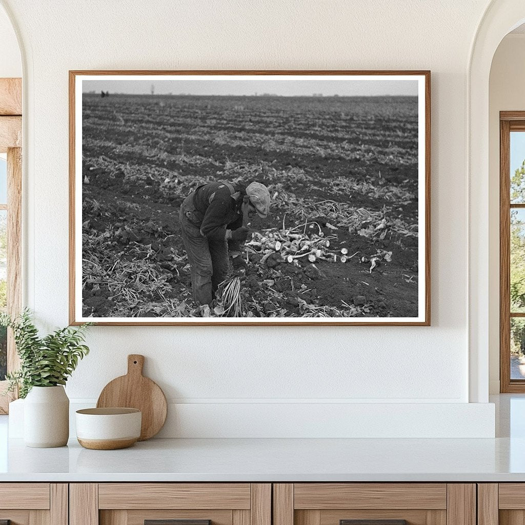 Vintage Potato Worker in East Grand Forks Minnesota 1937