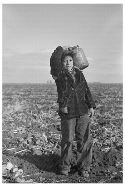 Mexican Boy Water Carrier in Sugar Beet Field 1937