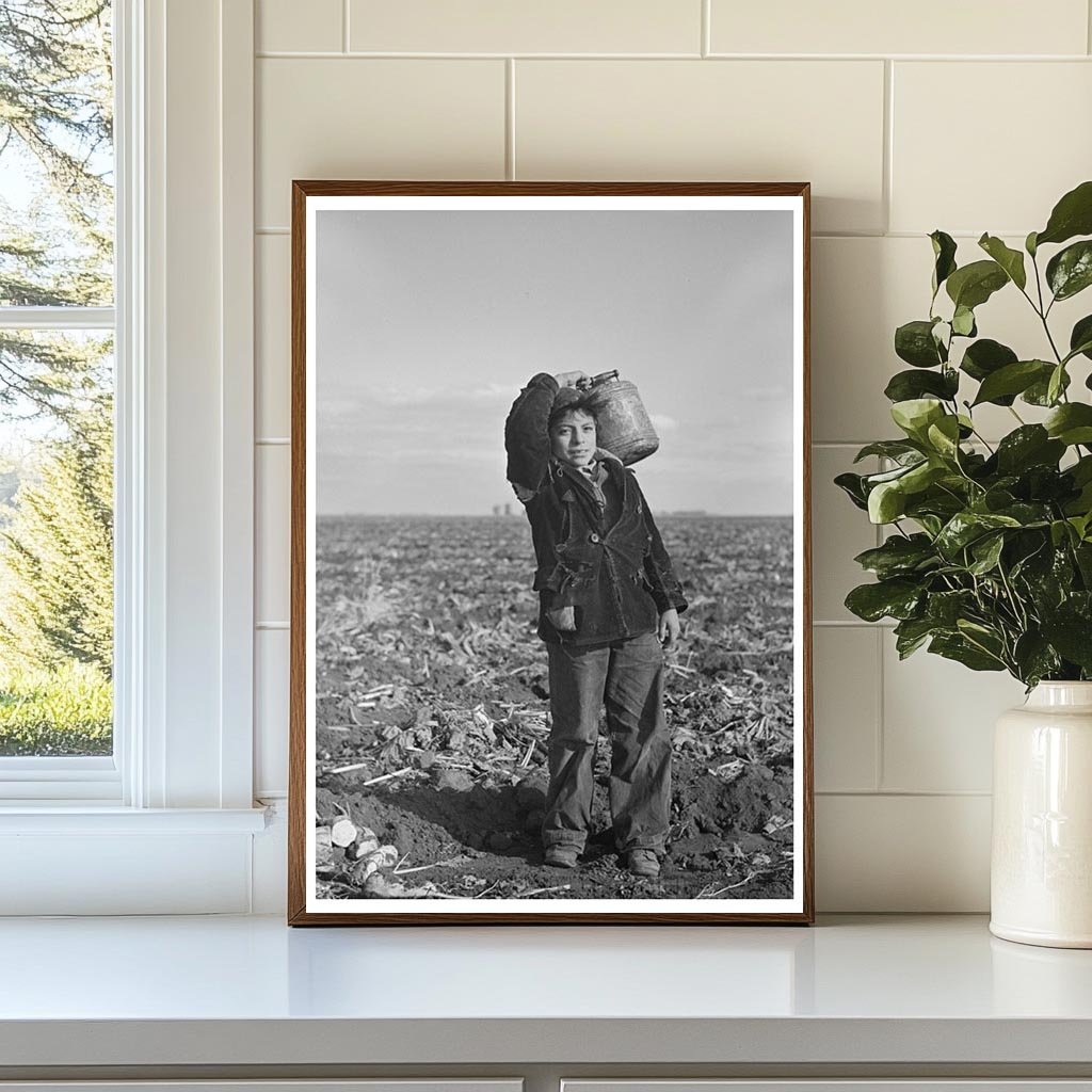 Mexican Boy Water Carrier in Sugar Beet Field 1937