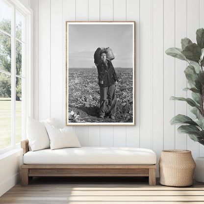 Mexican Boy Water Carrier in Sugar Beet Field 1937