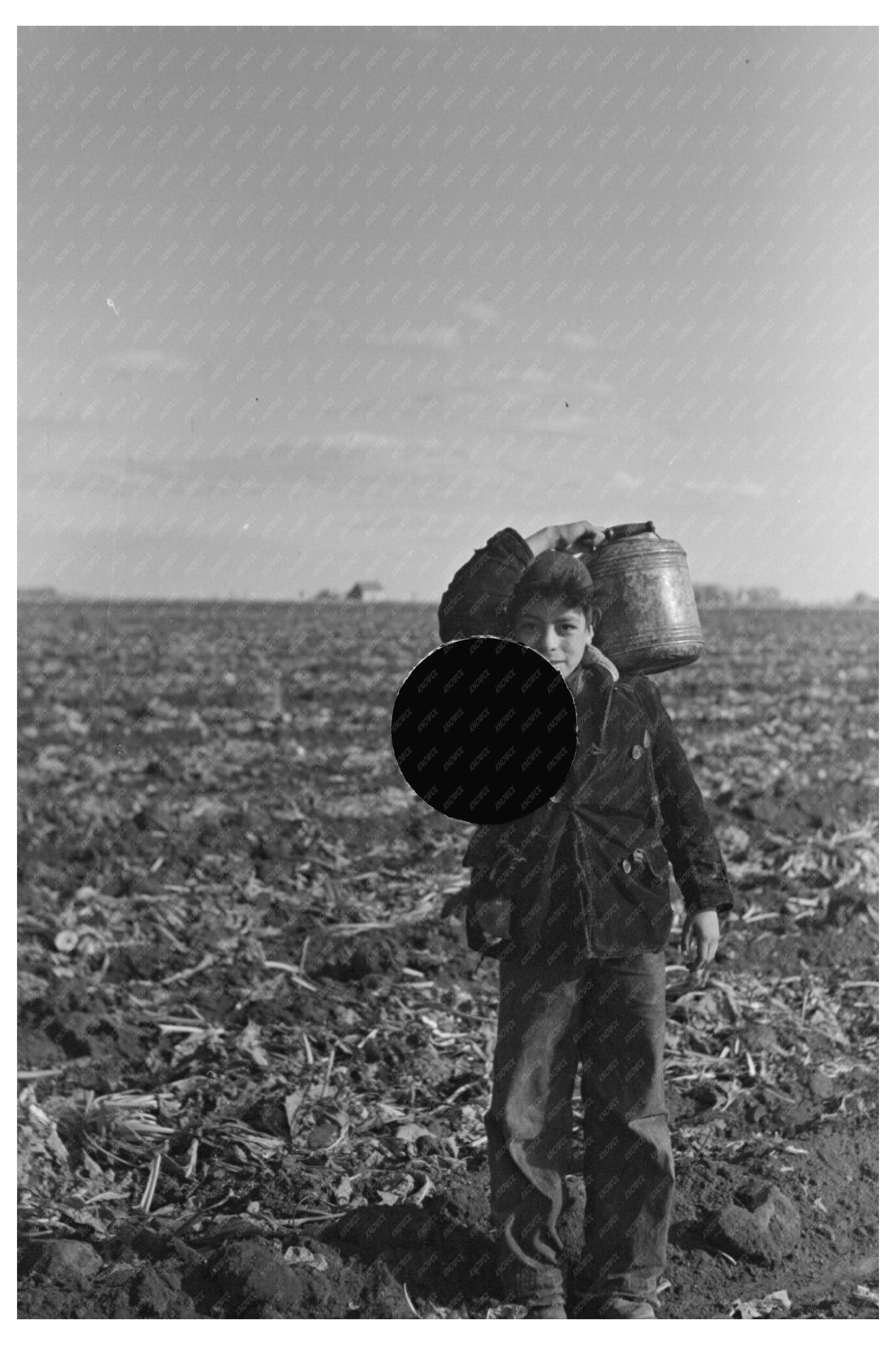 Mexican Boy Water Carrier in Minnesota Beet Field 1937