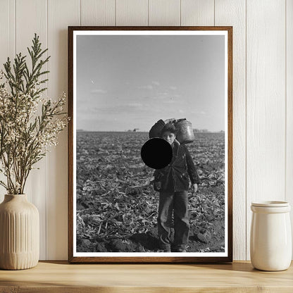 Mexican Boy Water Carrier in Minnesota Beet Field 1937