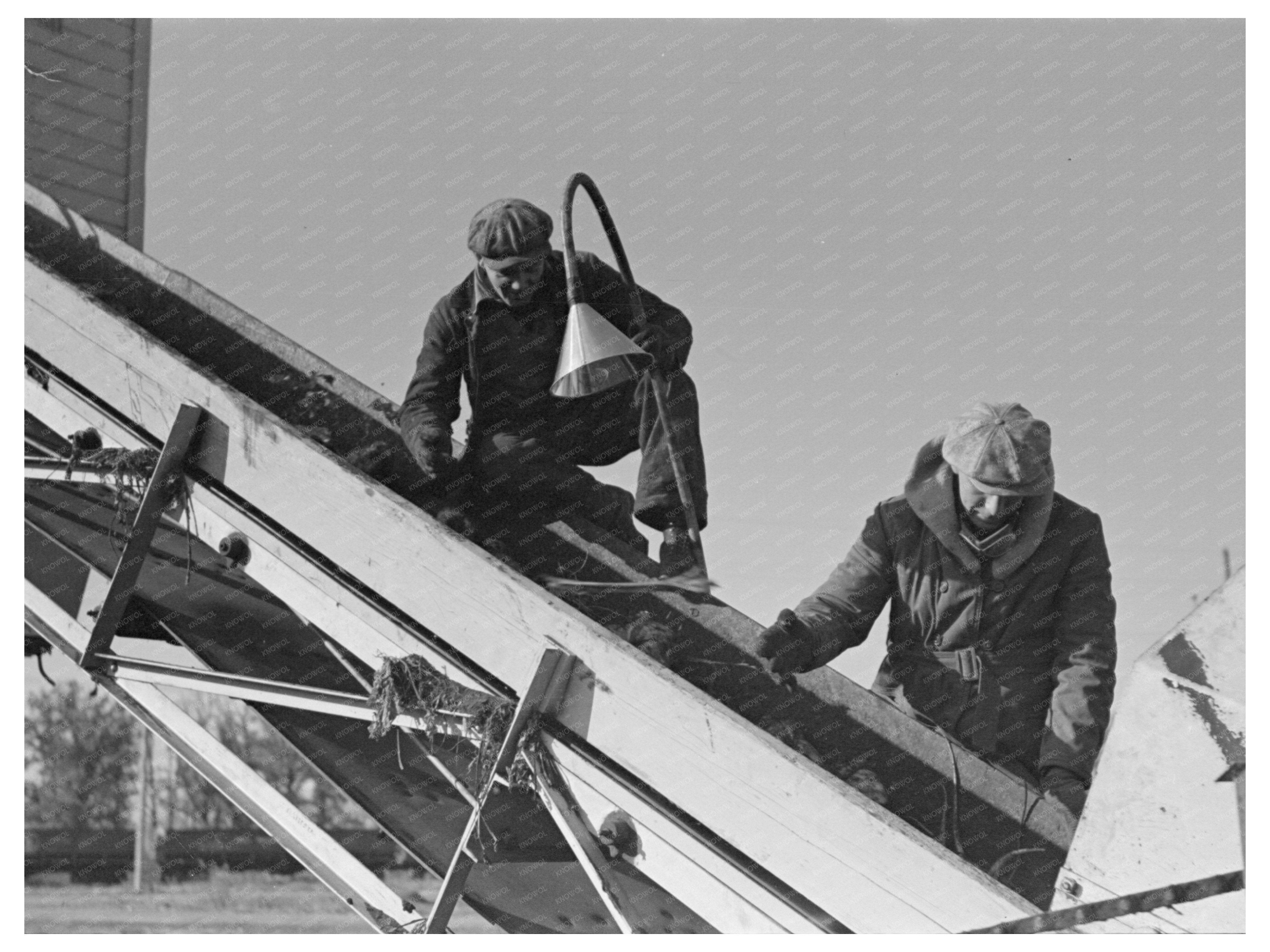 Sugar Beet Workers in East Grand Forks Minnesota 1937