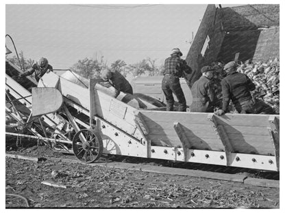 Sugar Beet Unloading at Factory East Grand Forks 1937