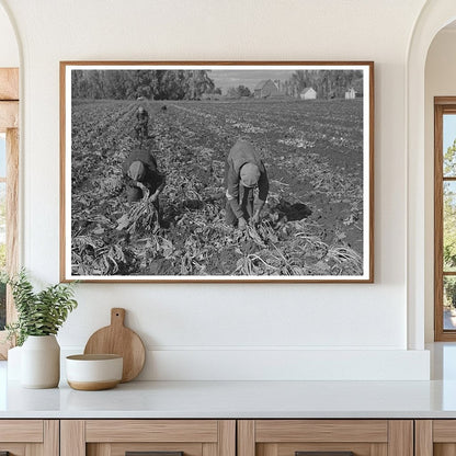 Vintage Agricultural Activity East Grand Forks 1937