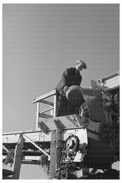 Sugar Beet Unloading East Grand Forks Minnesota 1937