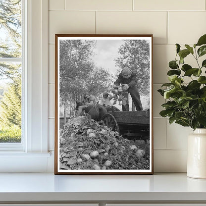 Worker Operating Beet Unloading Machine East Grand Forks 1937