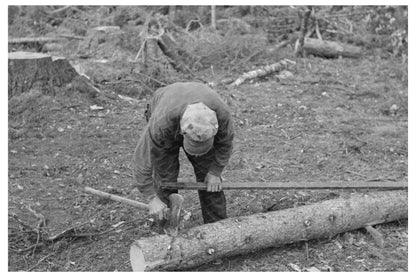 Timber Harvesting in Effie Minnesota September 1937