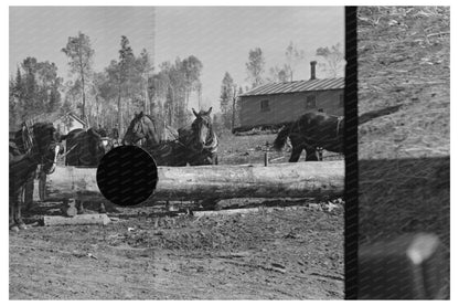 Vintage 1937 Photograph of Pulpwood Loading in Minnesota