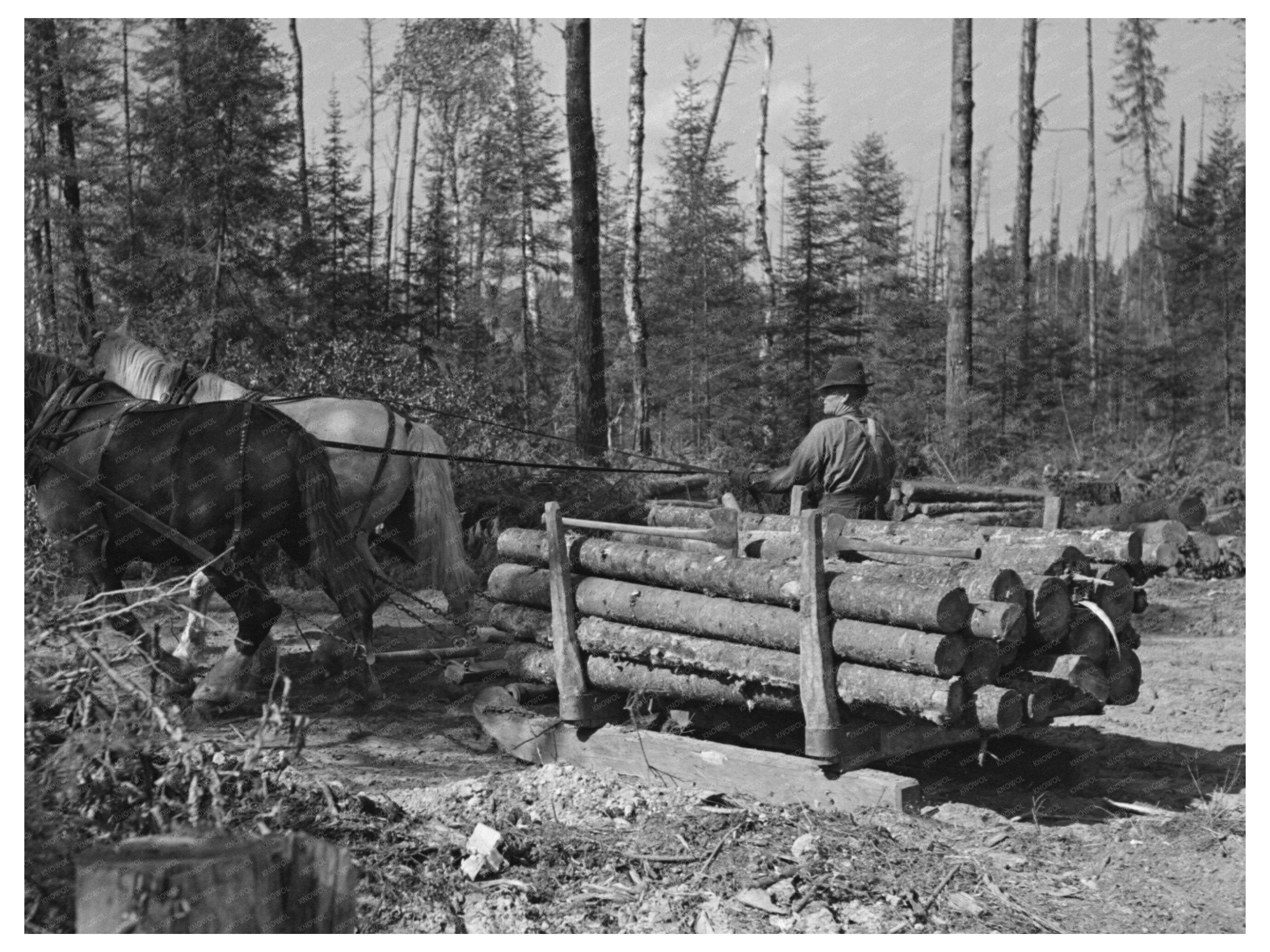 Lumberjacks Transporting Timber Effie Minnesota 1937