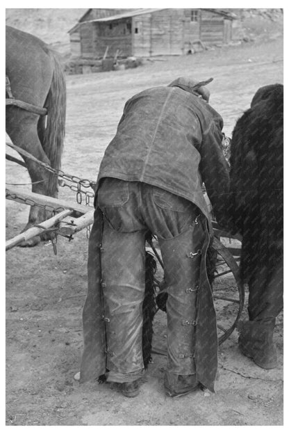 Farmer in Drought-Affected Field Montana November 1937