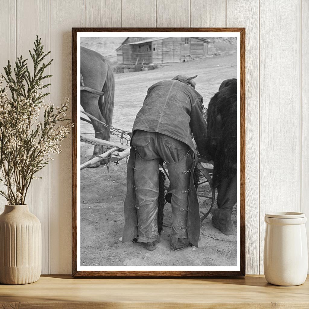 Farmer in Drought-Affected Field Montana November 1937