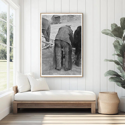 Farmer in Drought-Affected Field Montana November 1937