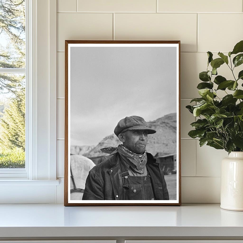 Farmer in Chaps Sheridan County Montana 1937