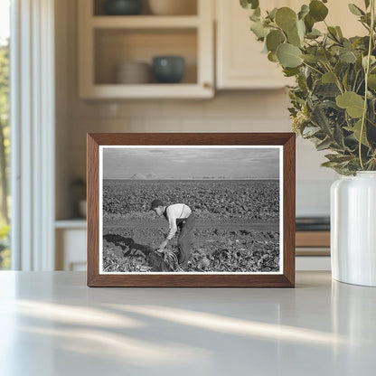 Young Boy Working in Beet Field Fisher Minnesota 1937