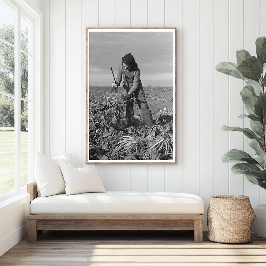 Young Girl Working in Sugar Beet Fields Minnesota 1937