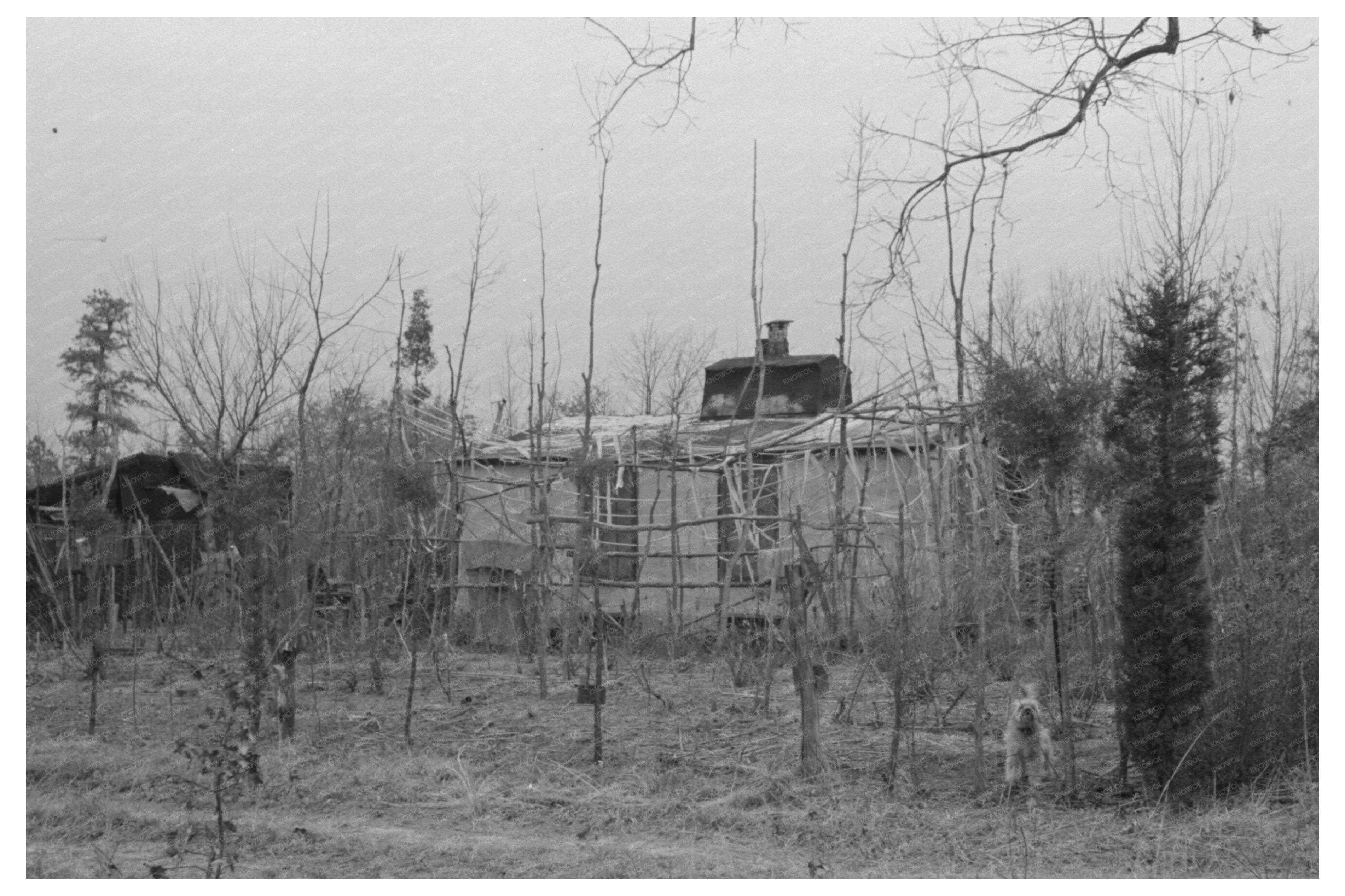 Vintage Farmhouse in Pine New Jersey January 1938