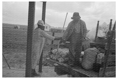 Truck Loading Operations in New Madrid County Missouri 1938