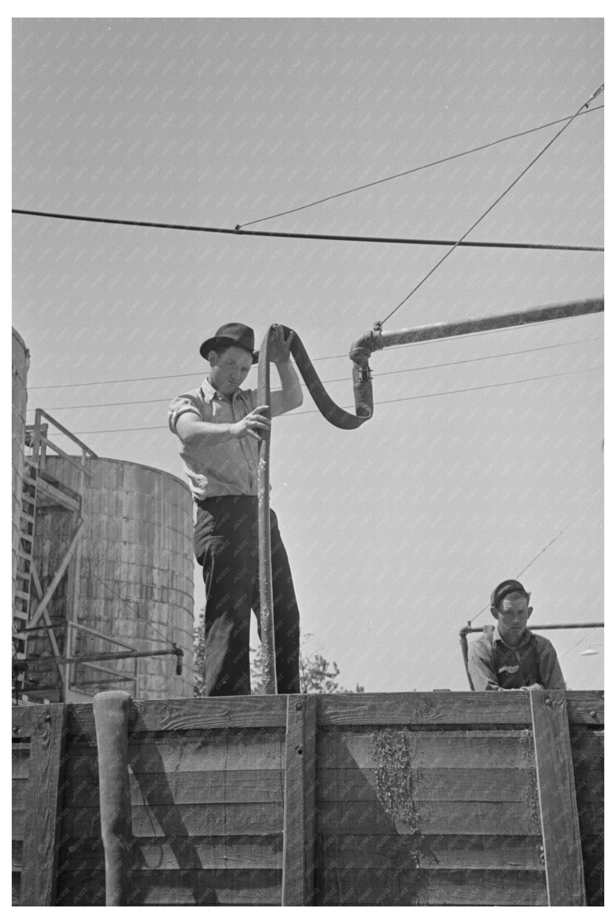 Loading Liquid Feed in Owensboro Kentucky May 1938