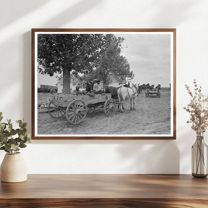 Farm Security Administration Client with Mules Missouri 1938