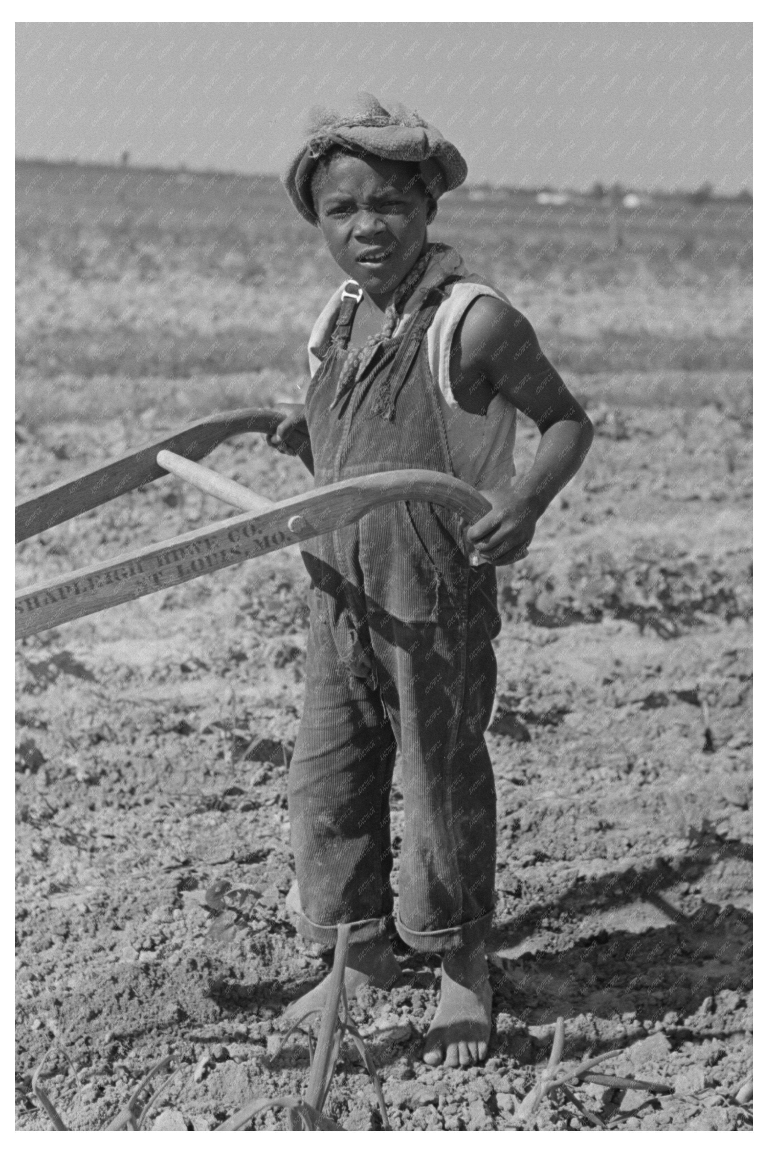 Child Sharecropper Cultivating Cotton New Madrid County 1938