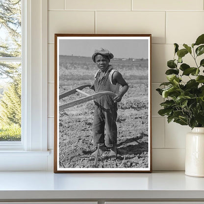 Child Sharecropper Cultivating Cotton New Madrid County 1938