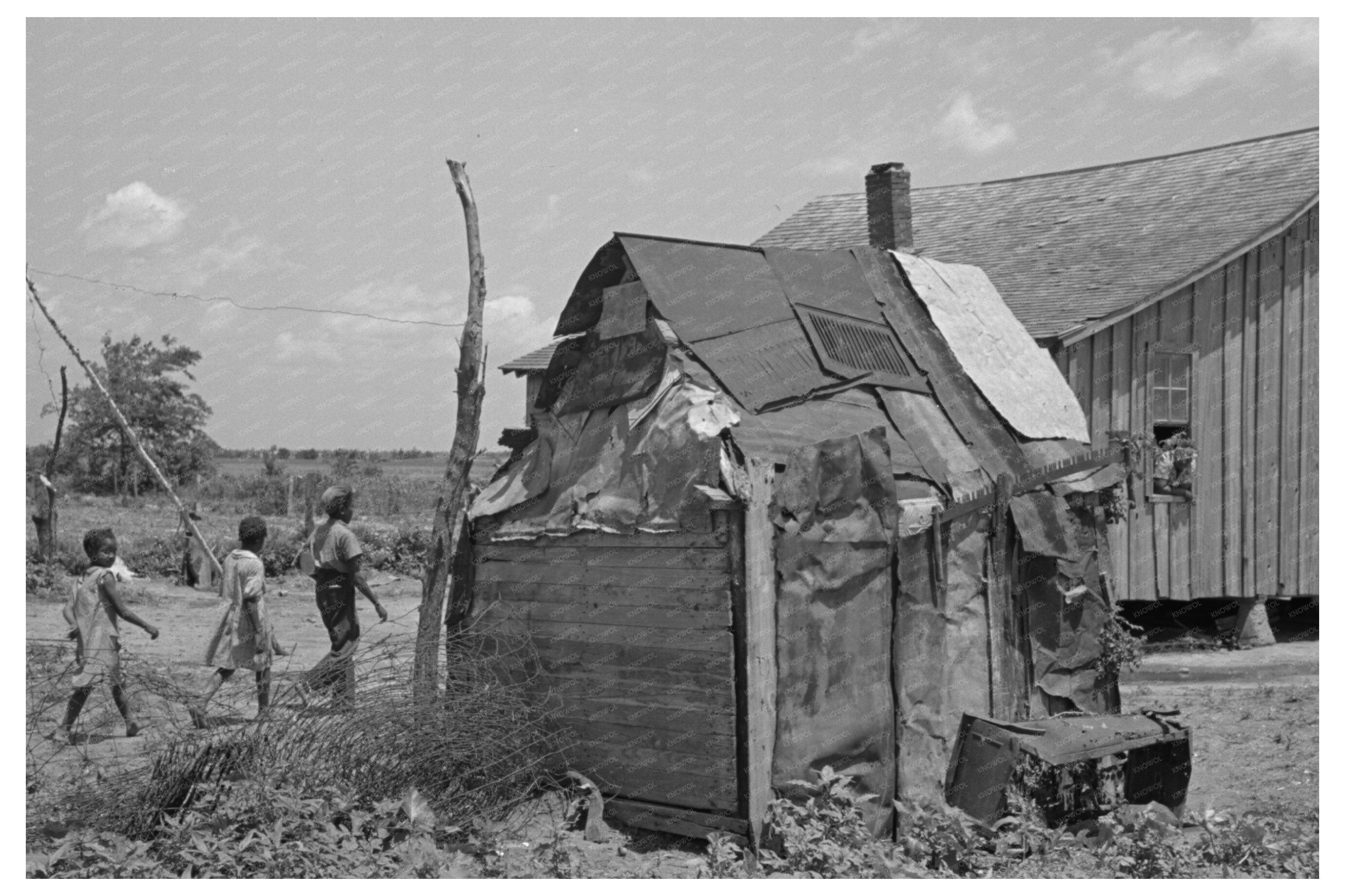 Traditional Chicken House New Madrid County Missouri 1938