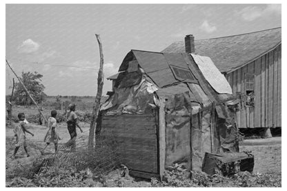 Traditional Chicken House New Madrid County Missouri 1938