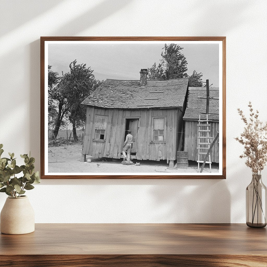 Sharecroppers Cabin New Madrid County May 1938