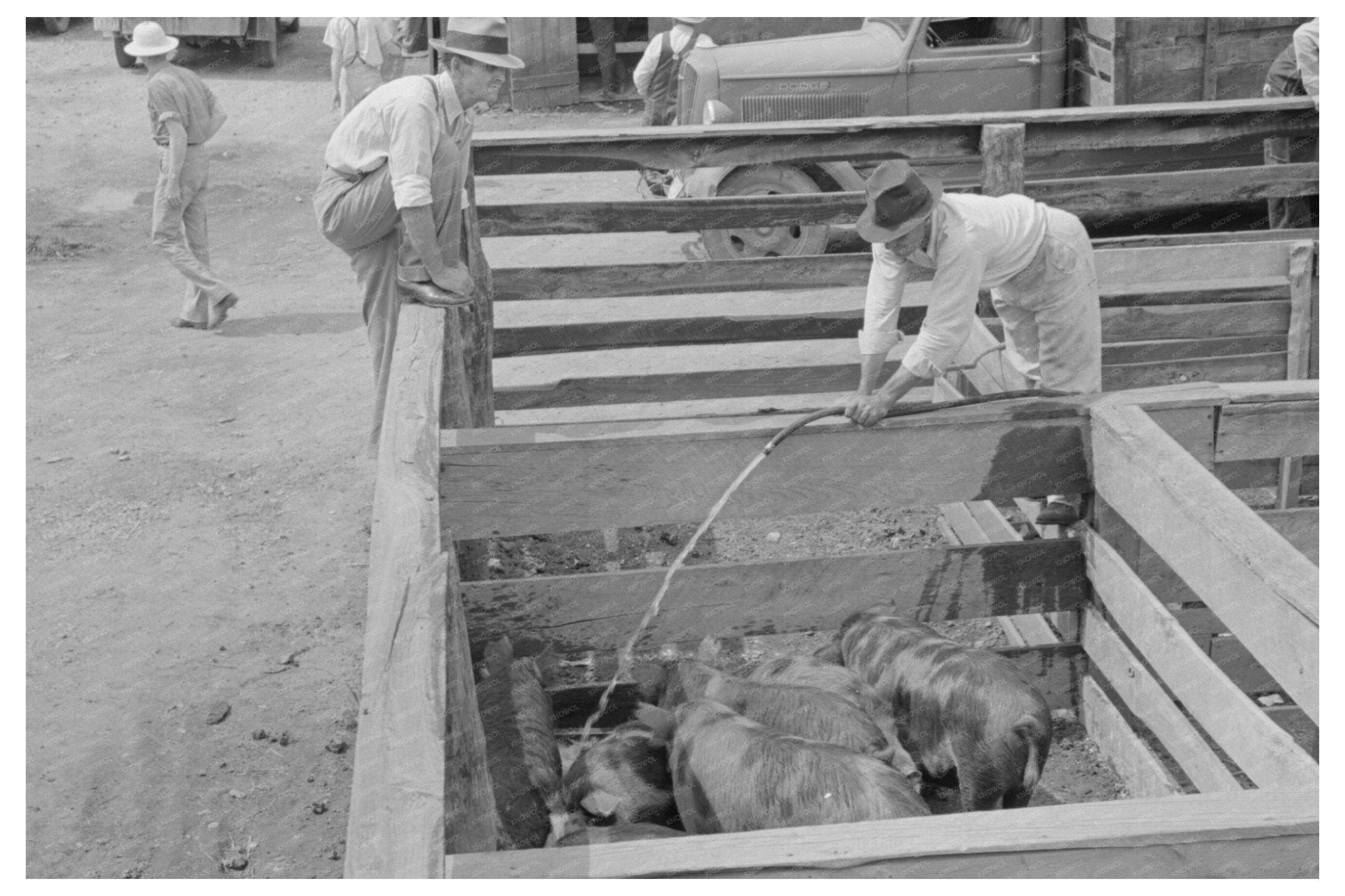 Vintage 1938 Auction Yards Scene in Sikeston Missouri