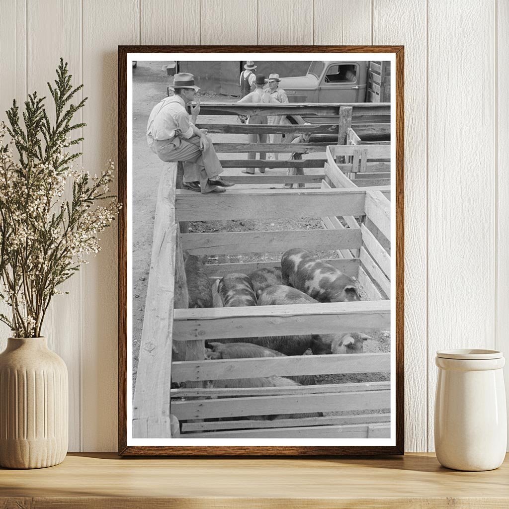 Sikeston Missouri Auction Yard Pigs May 1938