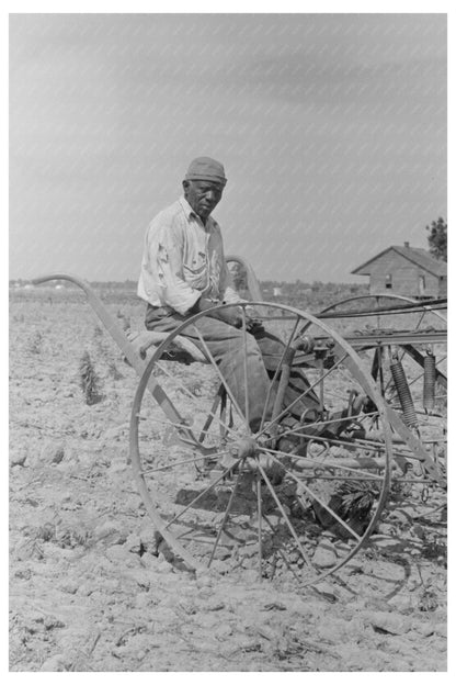 Vintage Cotton Farming in New Madrid County May 1938